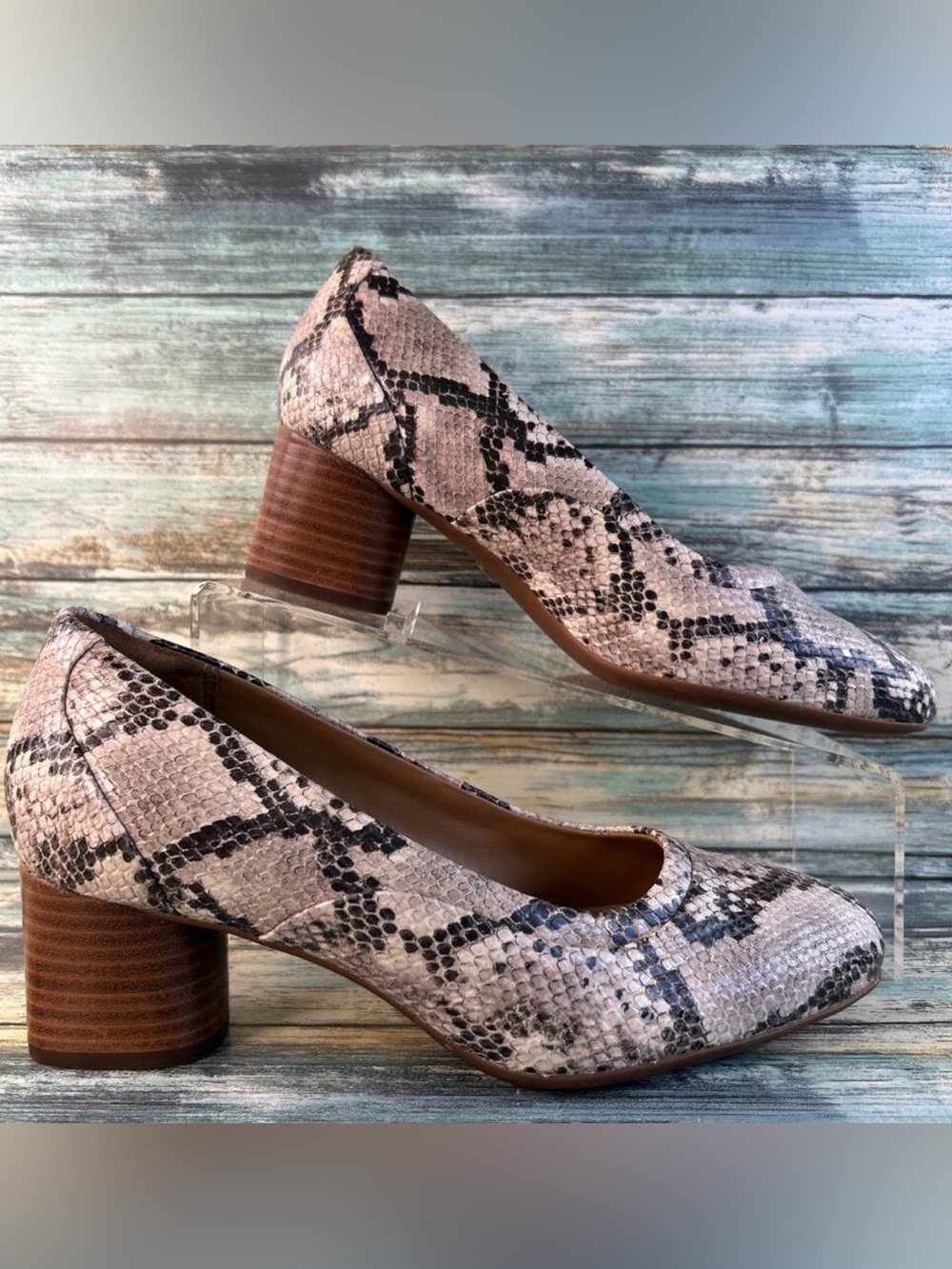 Clarks Pumps Womens 8 Beige Black Leather Snake Print Dress Heels Comfort Shoes